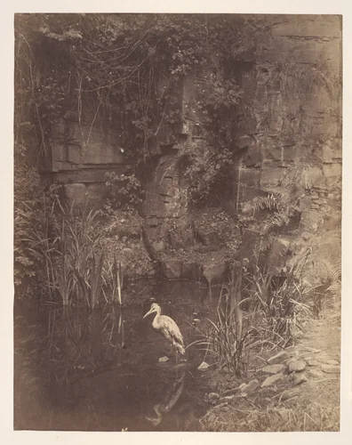 Piscator, No. 2 by John Dillwyn Llewelyn, photograph, 1856