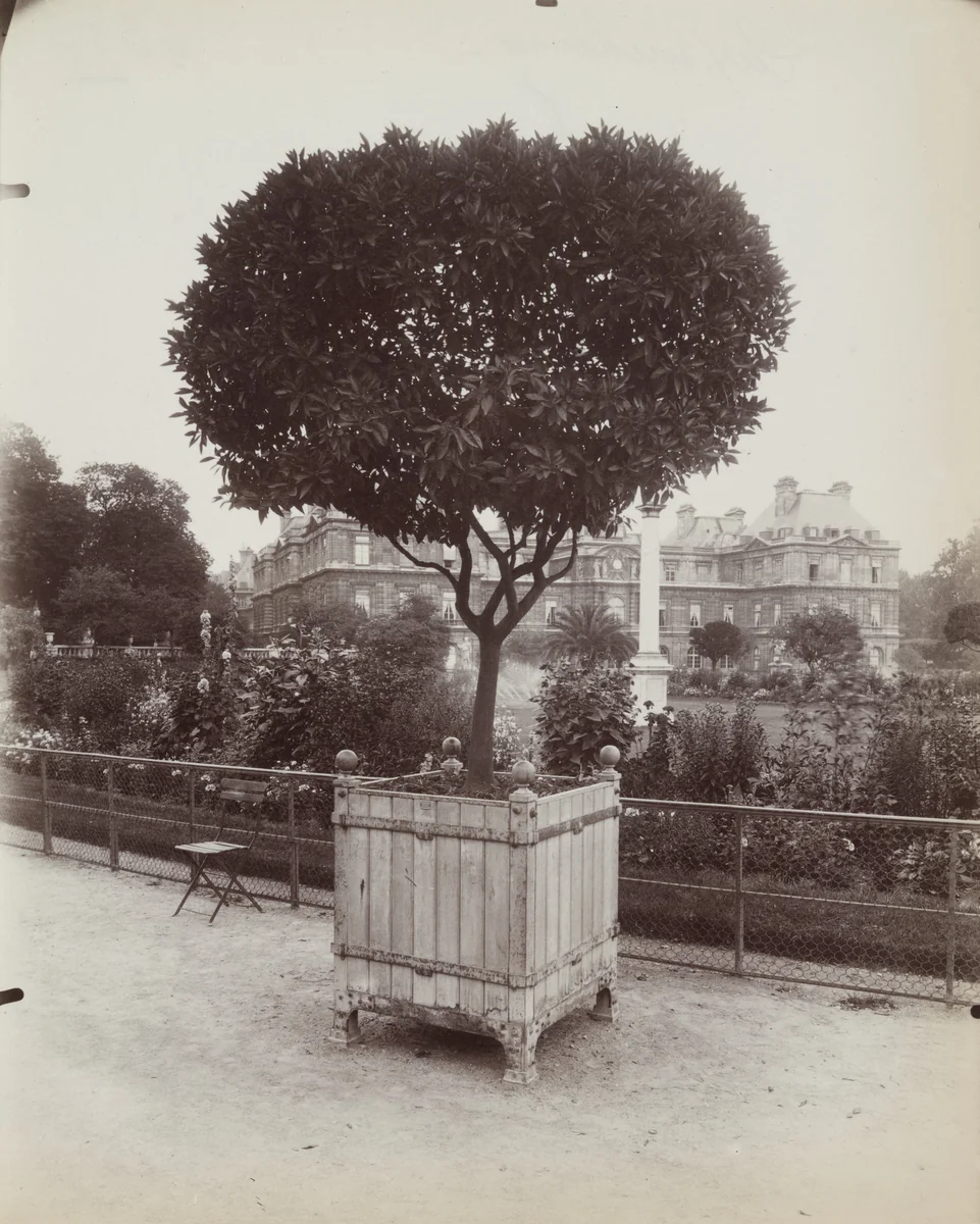 Luxembourg by Eugène Atget, photograph, 1922