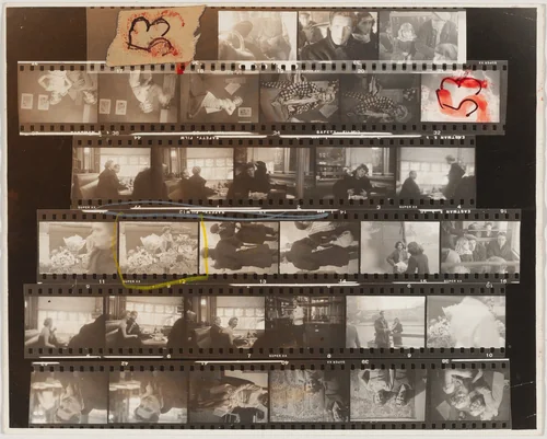 Tulip--Paris 53A/Lines of My Hand 25/Black White and Things 21 by Robert Frank, photograph, 1949-1950