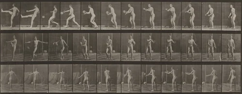 Plate Number 301. Football, punt by Eadweard Muybridge, photograph, 1887
