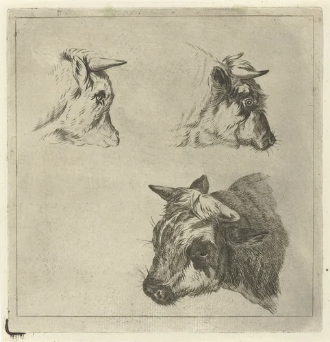 Drie koeienkoppen by Jacobus Cornelis Gaal, print, 1854