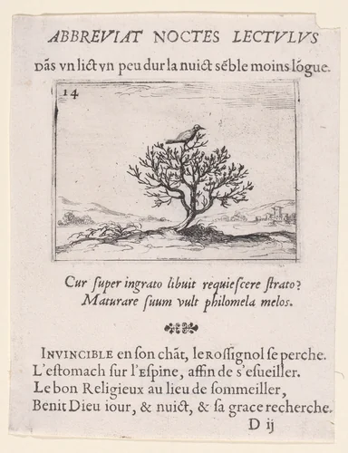 Le Rossignol Posé sur un Buisson (A Nightengale Standing on a Bush), plate 14 from "Lux Claustri ou La Lumière du Cloitre" (The Light of the Cloisters) by Jacques Callot, print, 1621-1635