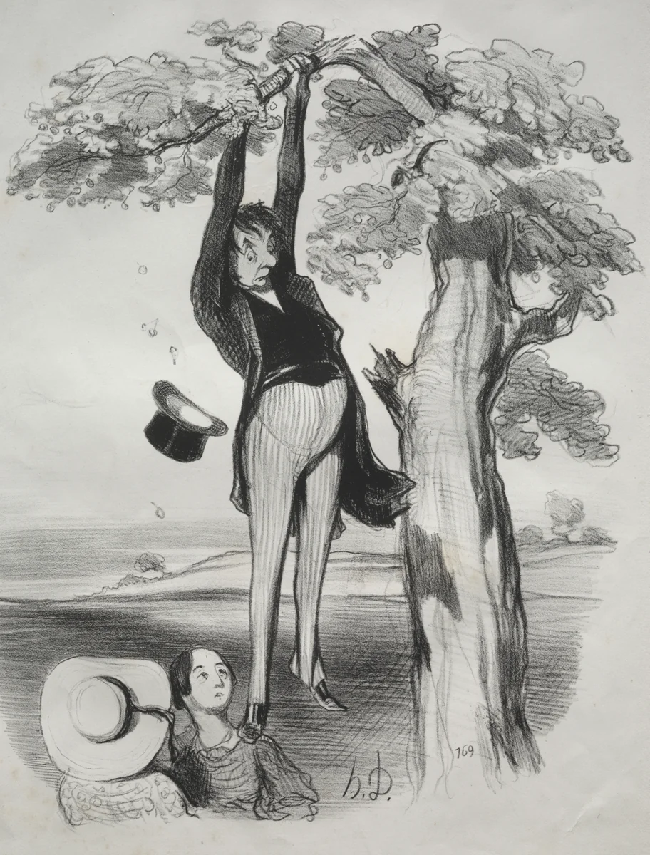The hazards of shaking a plum tree too vigorously, when one too is mature. by Honoré Daumier, print, 1845