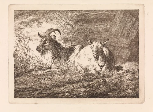 Twee geiten by Gerard van Nijmegen, print, 1745-1808