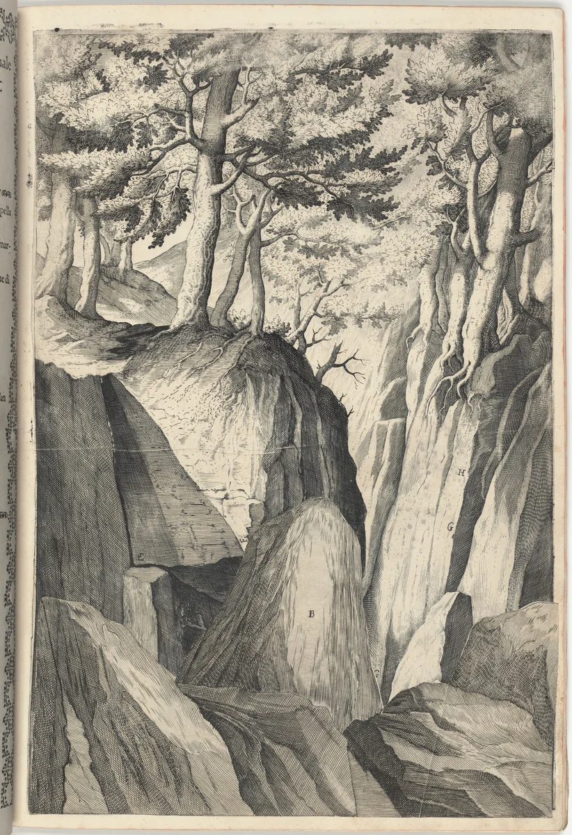 The Prominent Rock (Sasso spicco) [plate I] by Jacopo Ligozzi
Domenico Falcini
Lino Moroni, print, 1612
