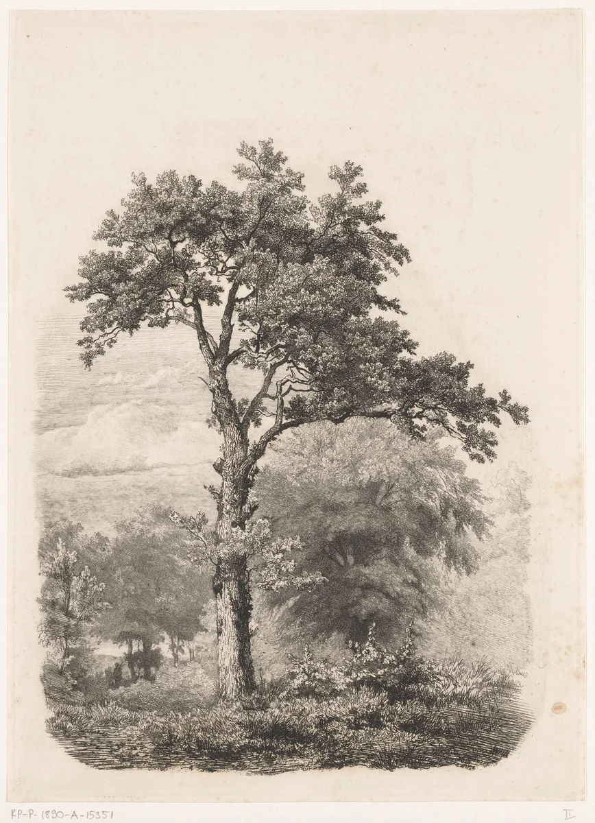 Vrijstaande loofboom in landschap by Pierre Louis Dubourcq, print, 1840