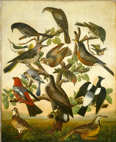 Birds by American 19th Century, painting, 1840
