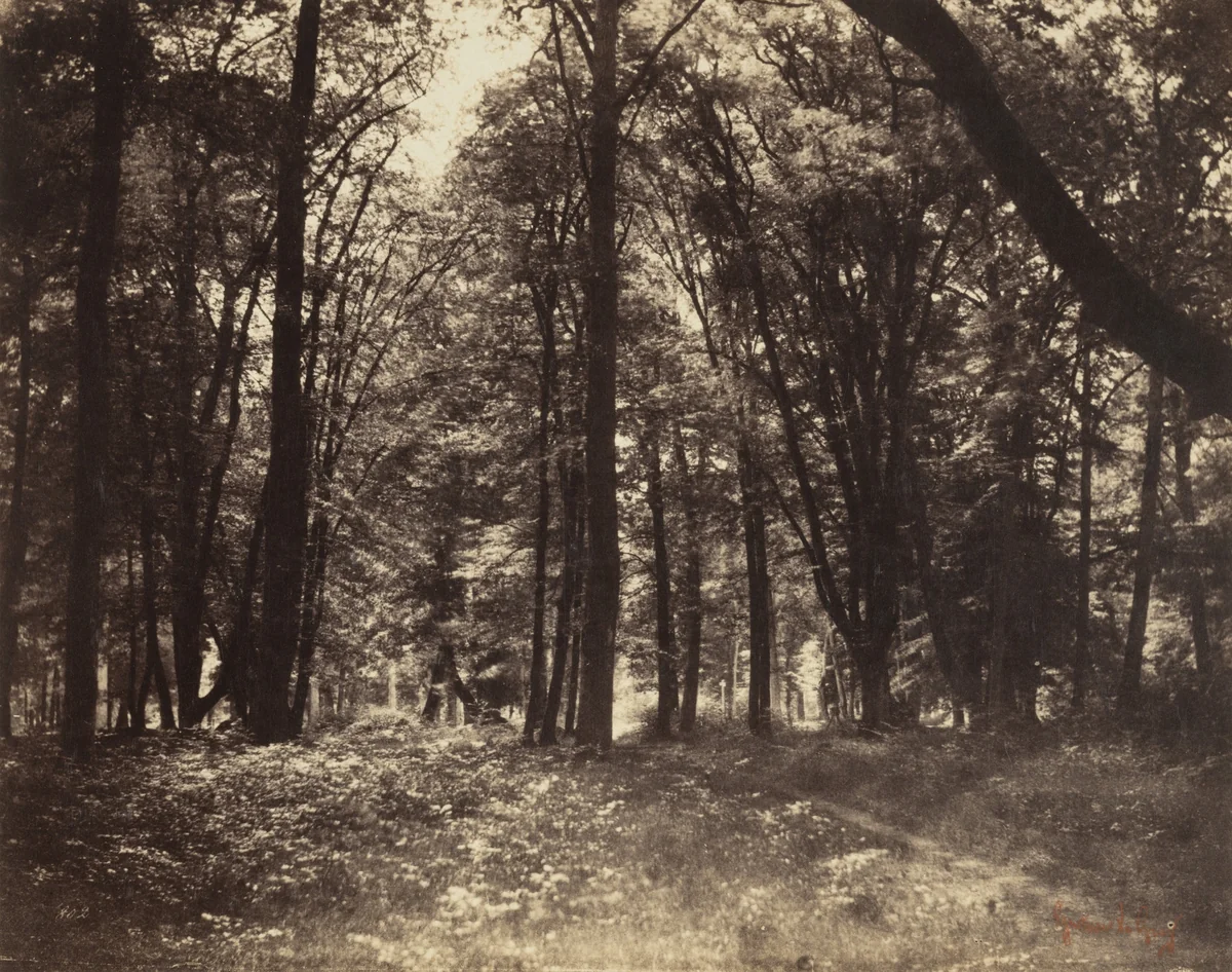 Untitled by Gustave Le Gray, photograph, 1852