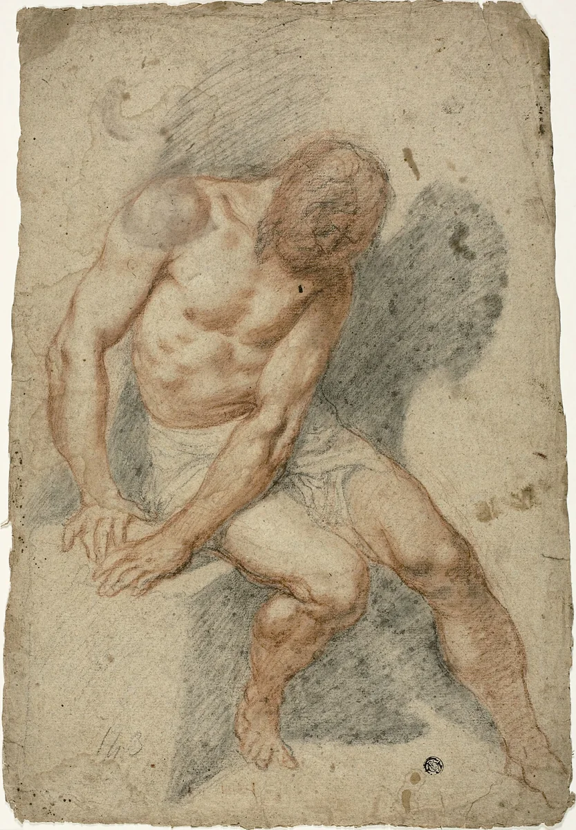 Study of a Seated Male Nude by Federico Barocci, drawing, 1595-1605