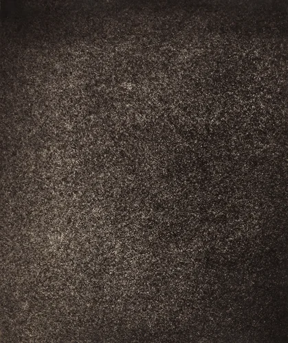 Central Region (Granulations) by Jules Janssen, photograph, 1890