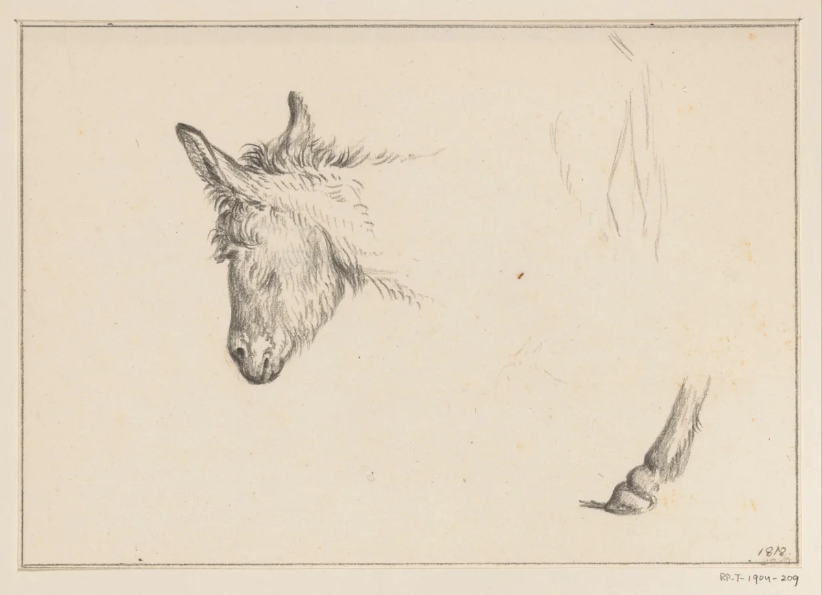 Kop en poot van een ezel by Jean Bernard, drawing, 1818