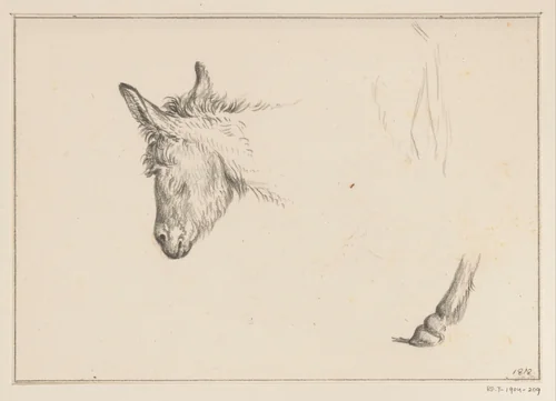 Kop en poot van een ezel by Jean Bernard, drawing, 1818