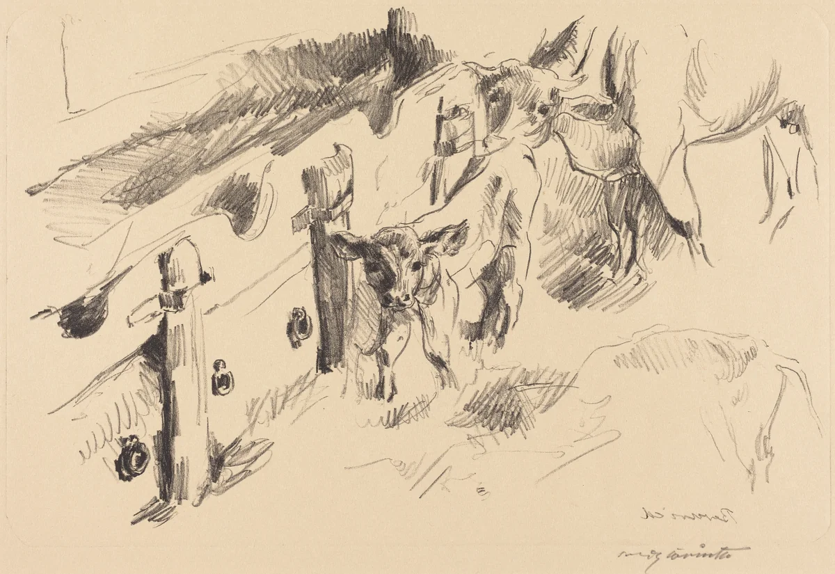 Kälber (Calves) by Lovis Corinth, print, 1912