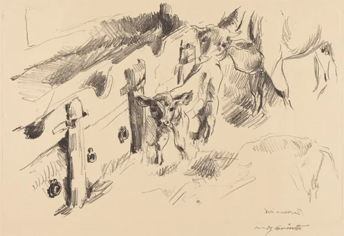 Kälber (Calves) by Lovis Corinth, print, 1912