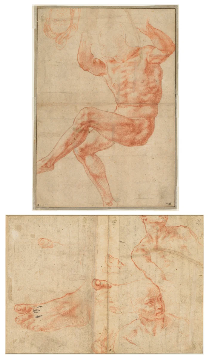 Study for the Nude Youth over the Prophet Daniel (recto); Figure Studies for the Sistine Ceiling (verso) by Michelangelo Buonarroti, drawing, 1510-1511