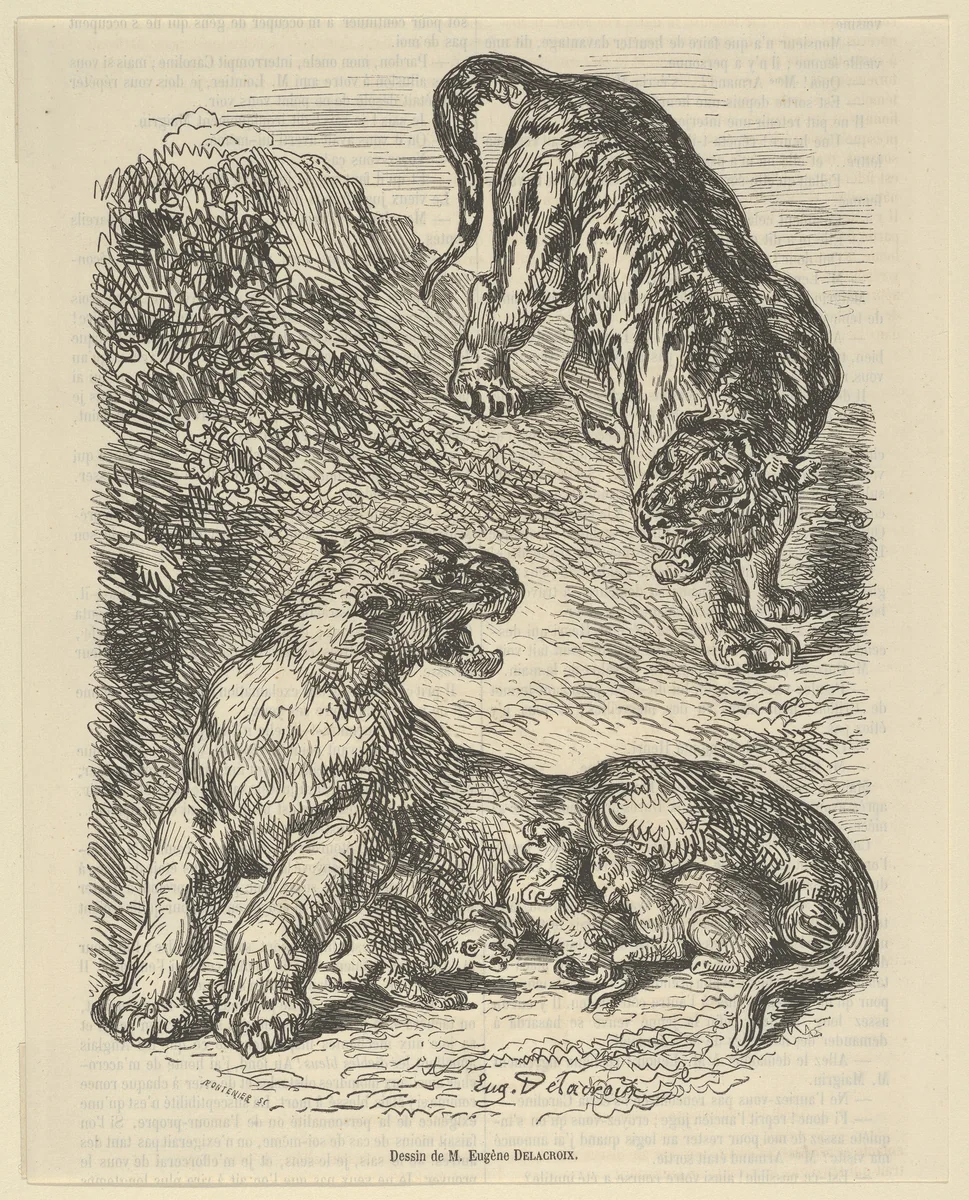 Tigress Attacked by a Tiger While Nursing her Young, from "Le Magasin Pittoresque" by Eugène Delacroix, print, 1853