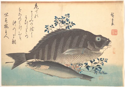 Shimadai and Ainame Fish, from the series Uozukushi (Every Variety of Fish) by Utagawa Hiroshige (歌川広重), print, 1840-1849