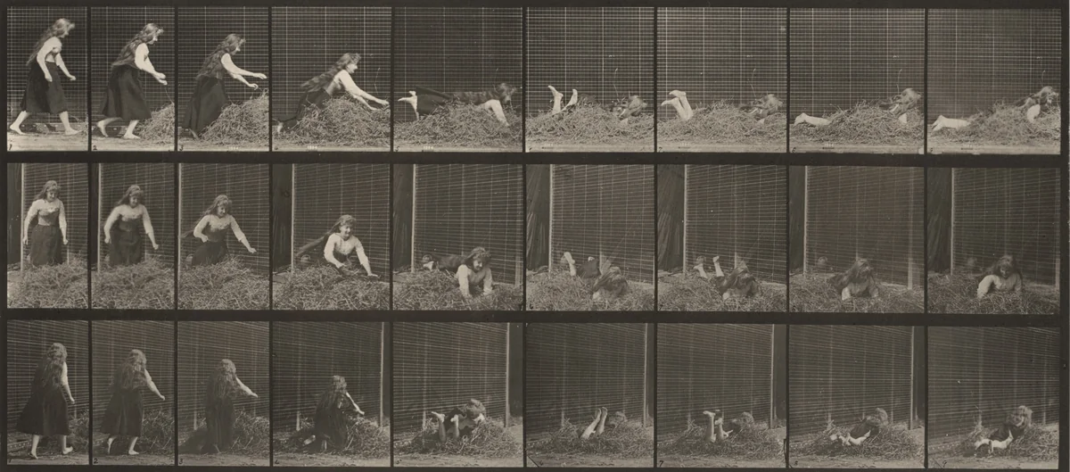 Plate Number 455. Throwing self on a heap of hay by Eadweard Muybridge, photograph, 1887