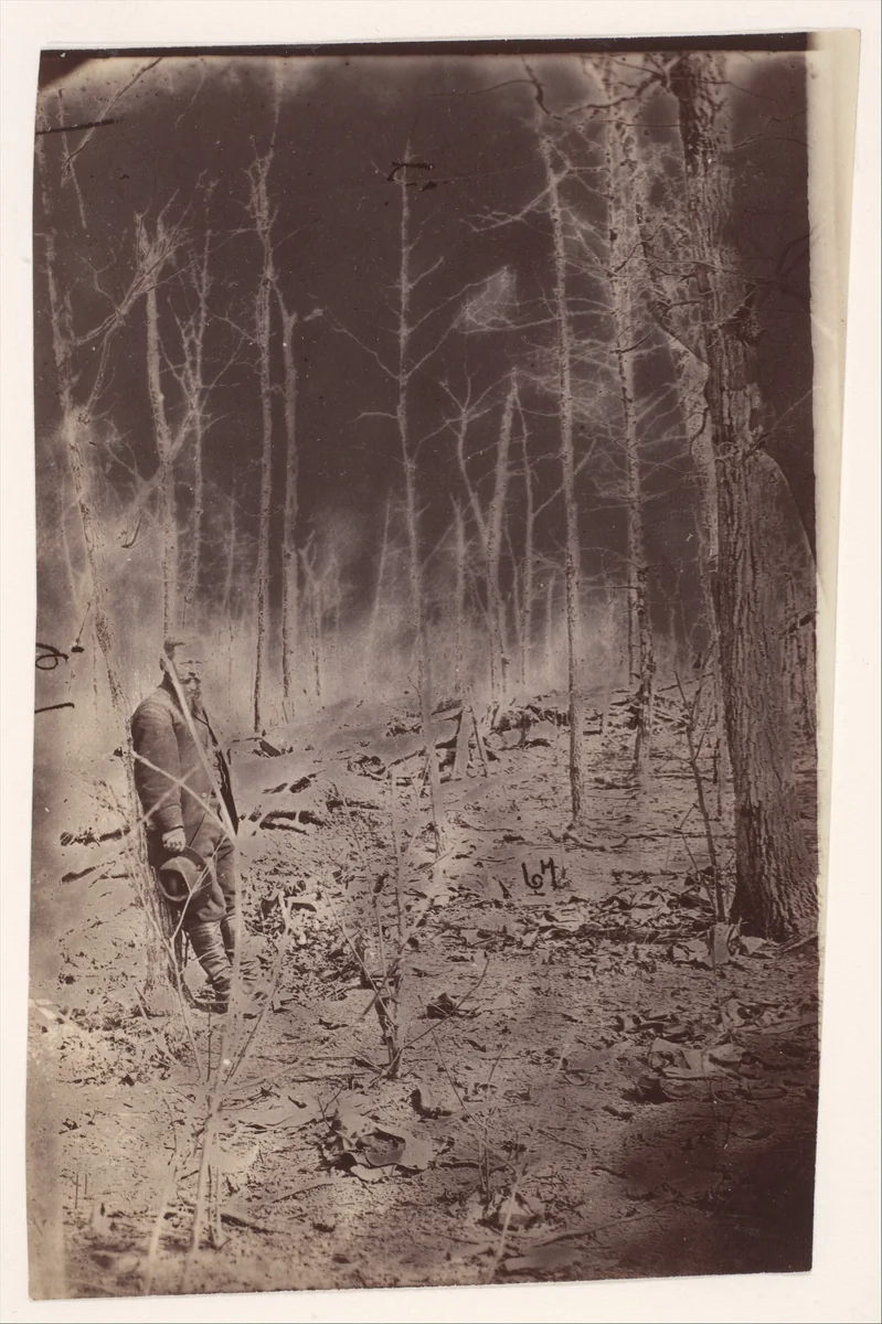 [The Wilderness Battlefield, near Spotsylvania, Virginia] by G. O. Brown, photograph, 1866