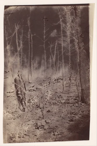 [The Wilderness Battlefield, near Spotsylvania, Virginia] by G. O. Brown, photograph, 1866