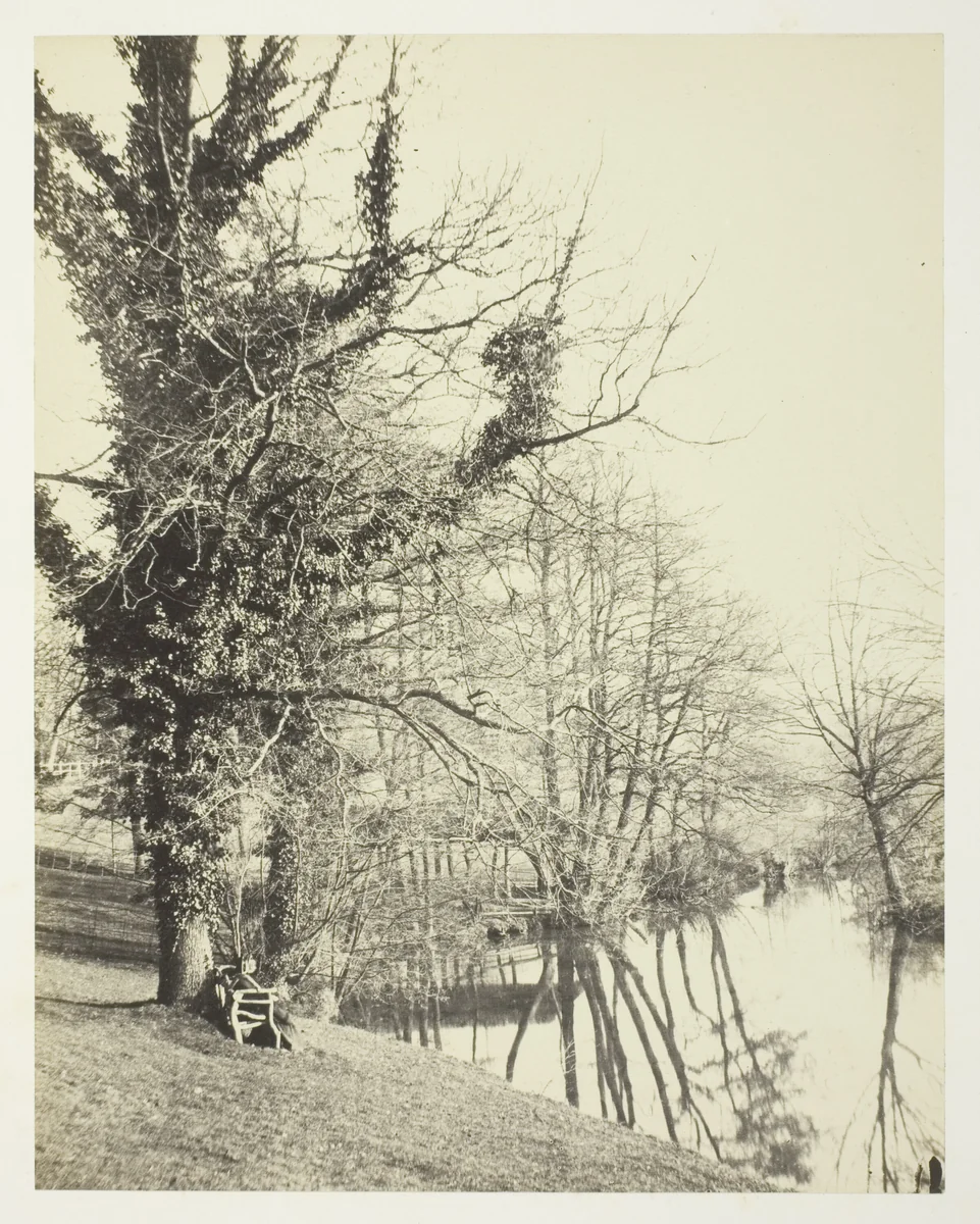 On the Mole by Alfred Rosling, photograph, 1851-1861