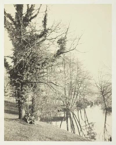 On the Mole by Alfred Rosling, photograph, 1851-1861