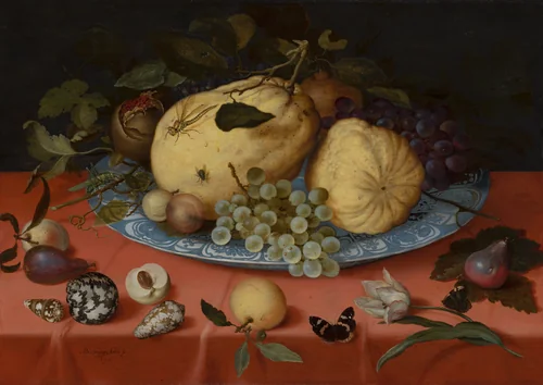 Fruit Still Life with Shells and Tulip by Balthasar van der Ast, painting, 1620