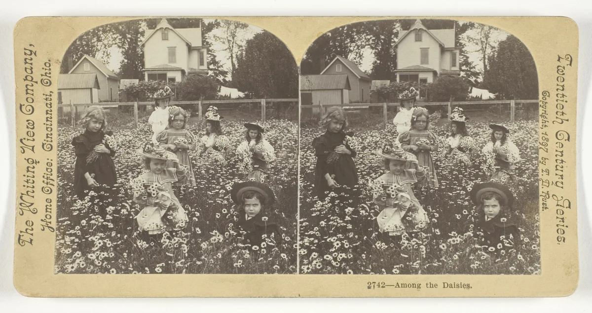 Among the Daisies by T.D. Rust, photograph, 1897