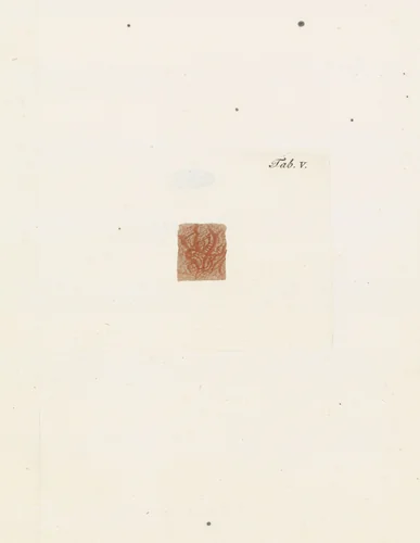 Anatomische afbeelding by Robbert Muys, print, 1785