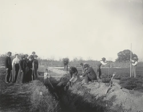 Agriculture. Drainage of the soil by Frances Benjamin Johnston, photograph, 1899