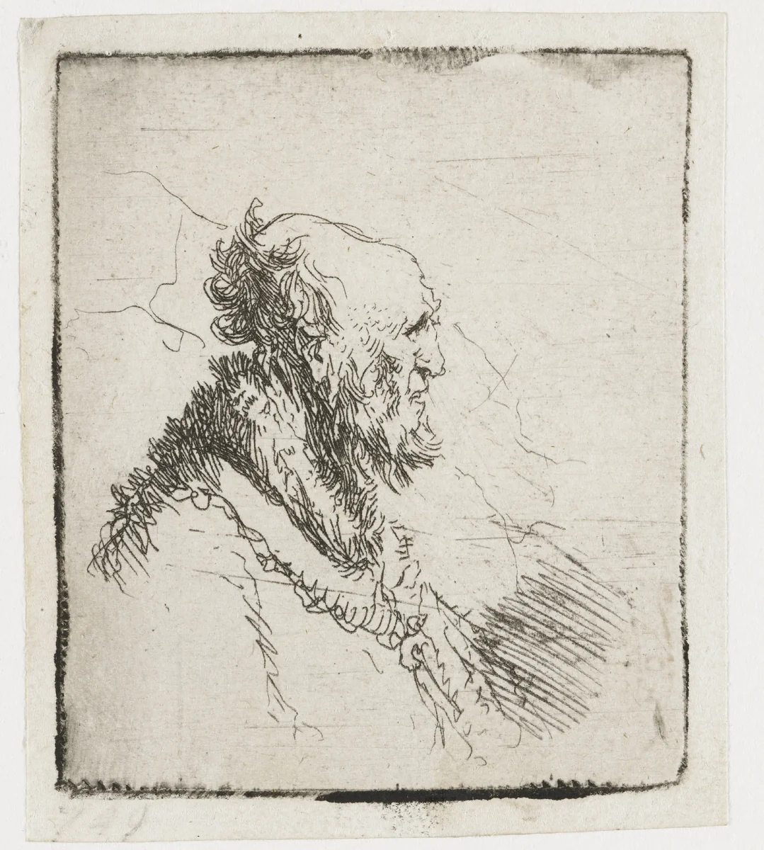 Bald Old Man with a Short Beard by Rembrandt van Rijn, print, 1635
