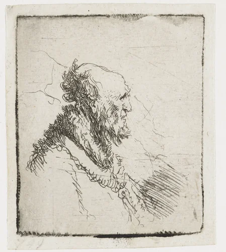 Bald Old Man with a Short Beard by Rembrandt van Rijn, print, 1635