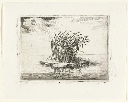Rietstengels in de wind by Jacques Callot, print, 1621-1635