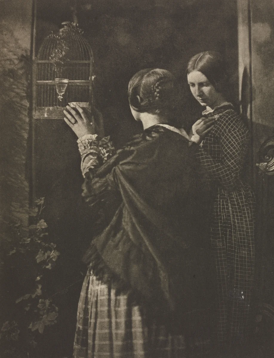Camera Work: The Bird-Cage by David Octavius Hill, book, 1909