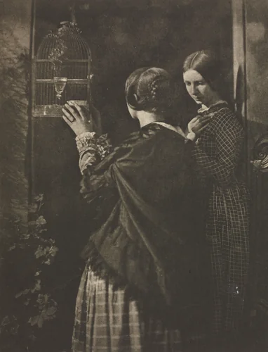 Camera Work: The Bird-Cage by David Octavius Hill, book, 1909