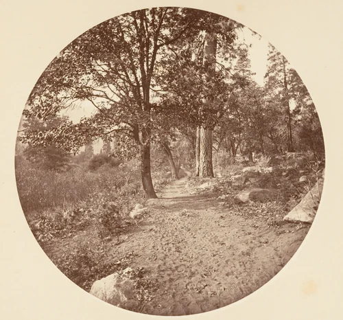 In the Yosemite Valley by Carleton E. Watkins, photograph, 1876-1880