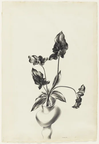 Plant by Yasuo Kuniyoshi, drawing, 1925