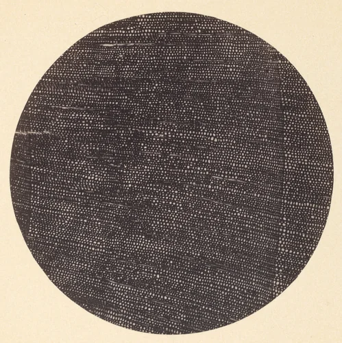 Microphotograph of Traverse Section of Wood (Salisburia) by Arthur Durham, photograph, 1870-1879