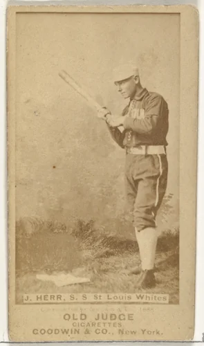 Herr, Shortstop, St. Louis Whites, from the Old Judge series (N172) for Old Judge Cigarettes by Goodwin & Company, photograph, 1888