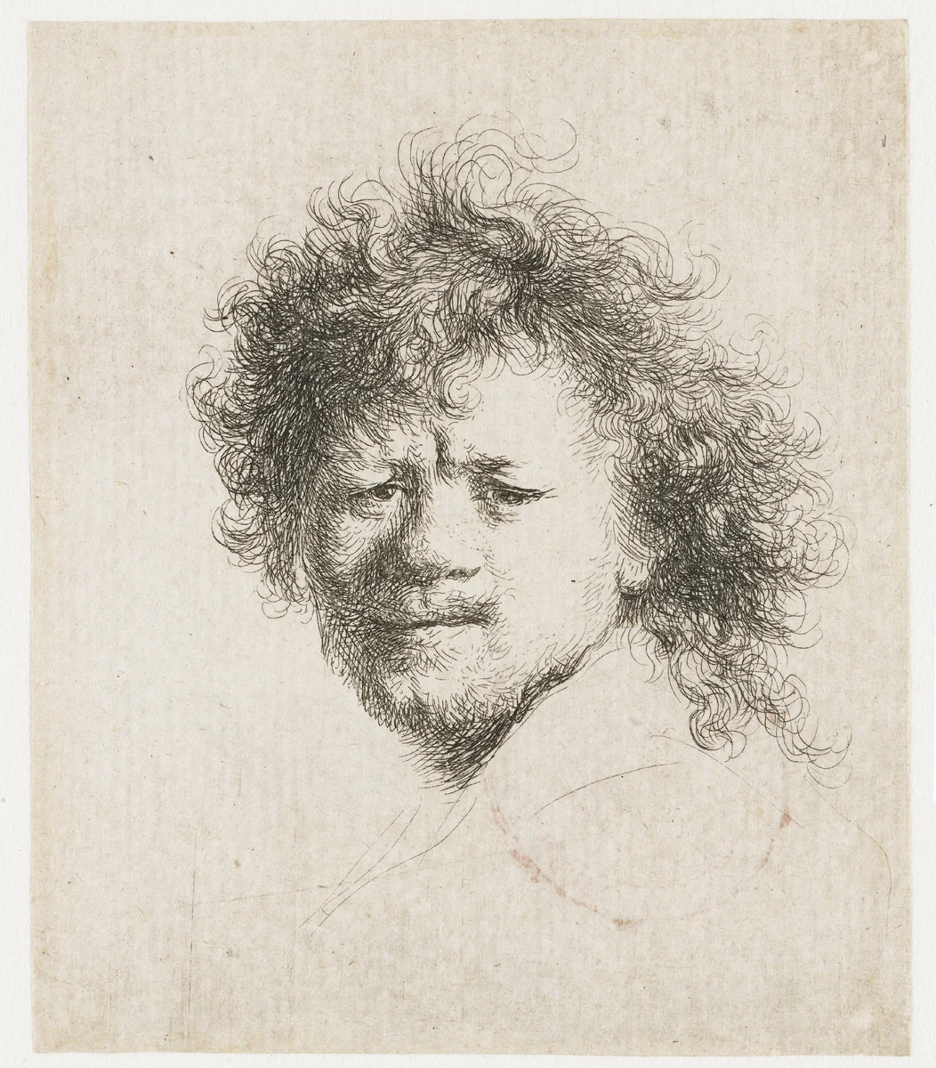 Self-portrait with Long, Bushy Hair by Rembrandt van Rijn, print, 1631