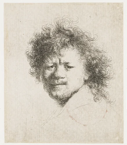 Self-portrait with Long, Bushy Hair by Rembrandt van Rijn, print, 1631
