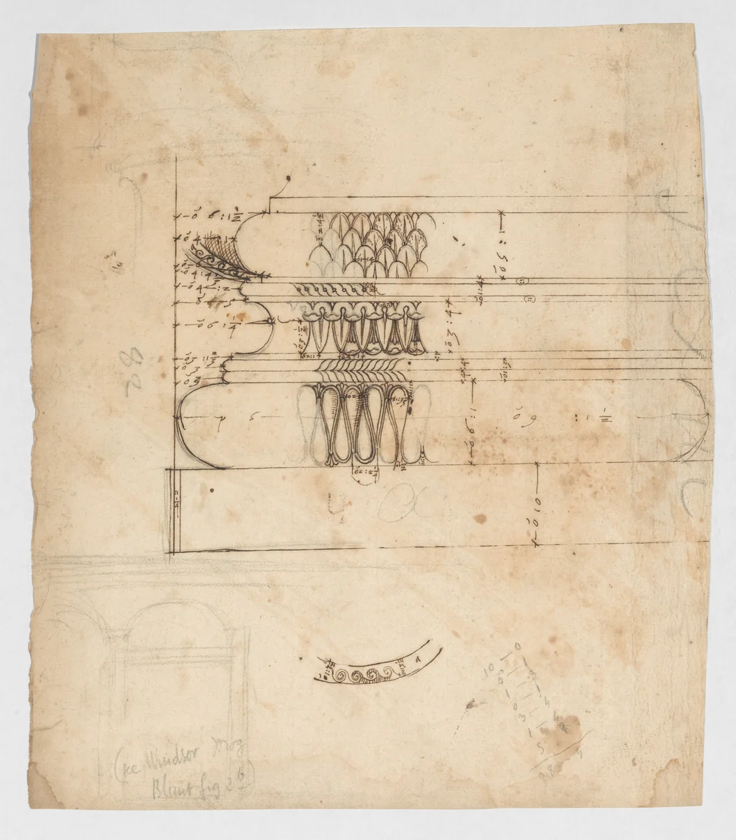 Forum of Augustus, hemicycle, Attic base, elevation and sculpted detail; Ionic capital, elevation; Palazzo Baldassini, cortile, elevation (recto) blank (verso) by anonymous, drawing, 1500-1560