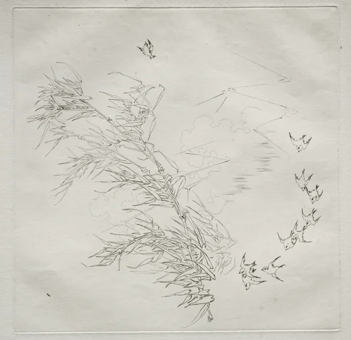 Parisian Service (Haviland service): The Storm (no. 8) by Félix Bracquemond, print, 1875