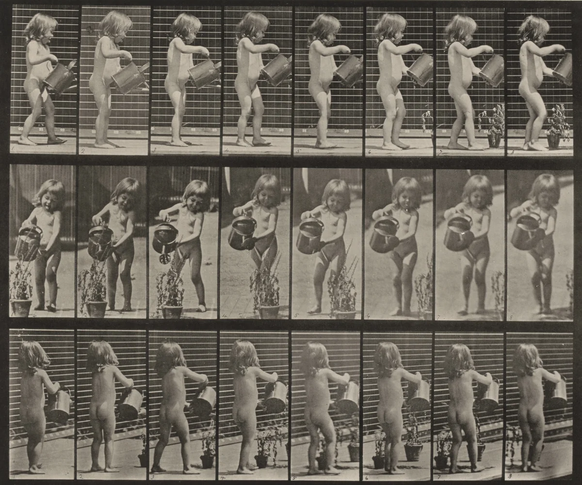 Plate Number 478. Child sprinkling water over some flowers by Eadweard Muybridge, photograph, 1887