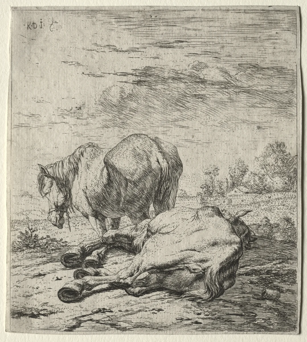 The Two Horses by Karel Dujardin, print, 1652-1660