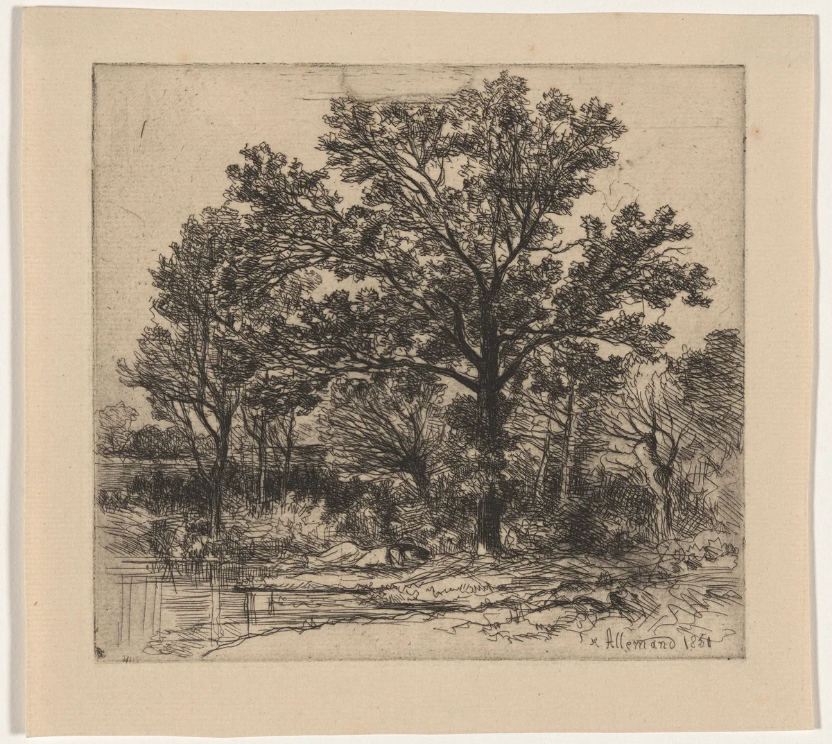 Study of Trees beside the Water (Étude d’arbres au bord d’une mare) by Louis Hector François Allemand, print, 1851