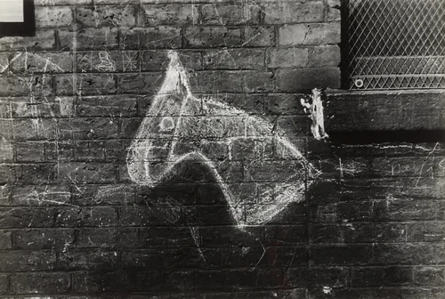 Horse's Head by Humphrey Jennings, photograph, 1938