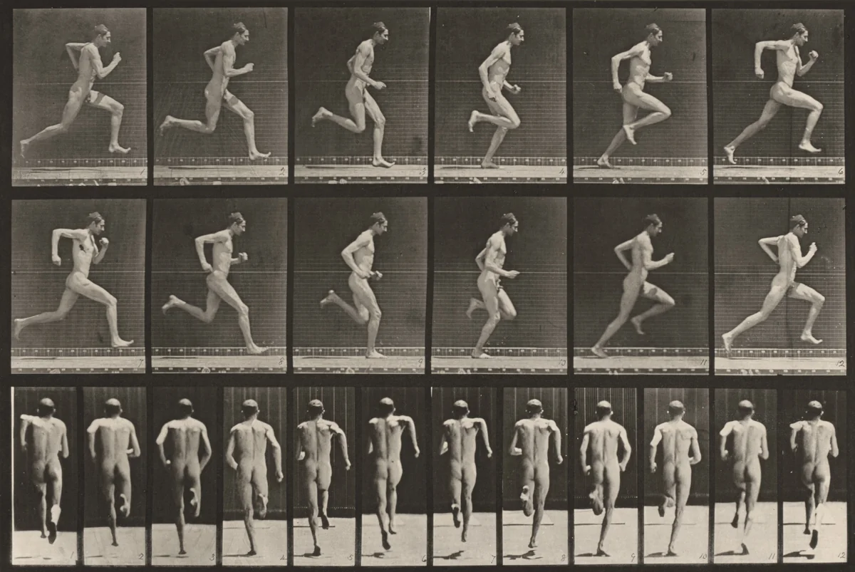 Plate Number 62. Running at full speed by Eadweard Muybridge, photograph, 1887