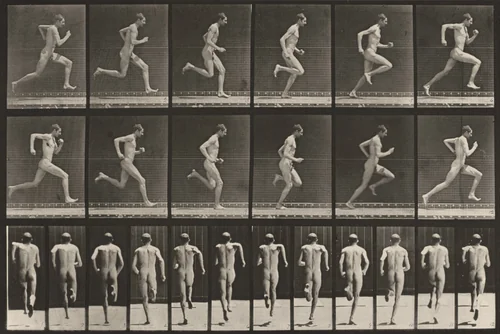 Plate Number 62. Running at full speed by Eadweard Muybridge, photograph, 1887