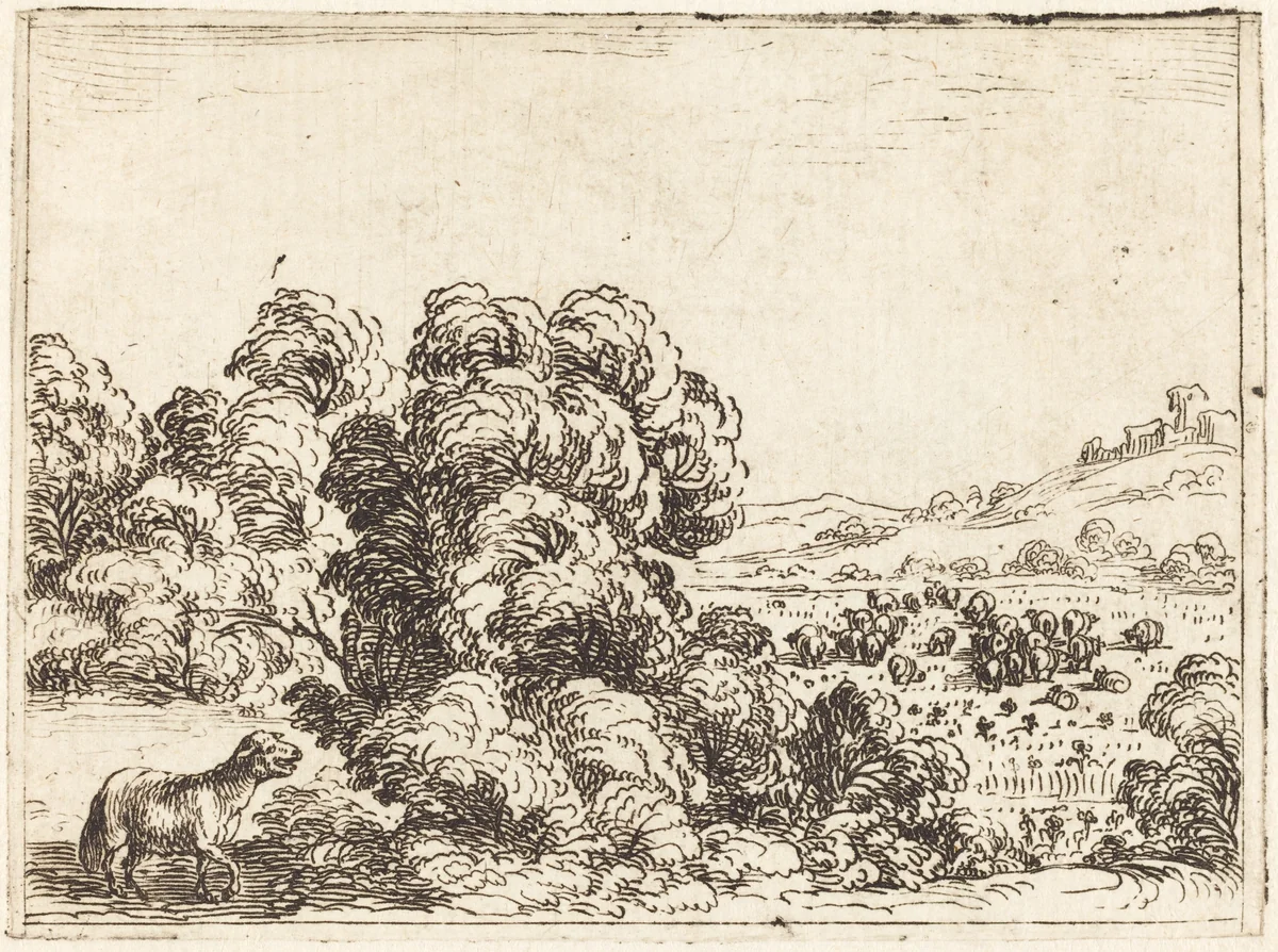 Sheep Calling Lamb by Jacques Callot, print, 1592-1635